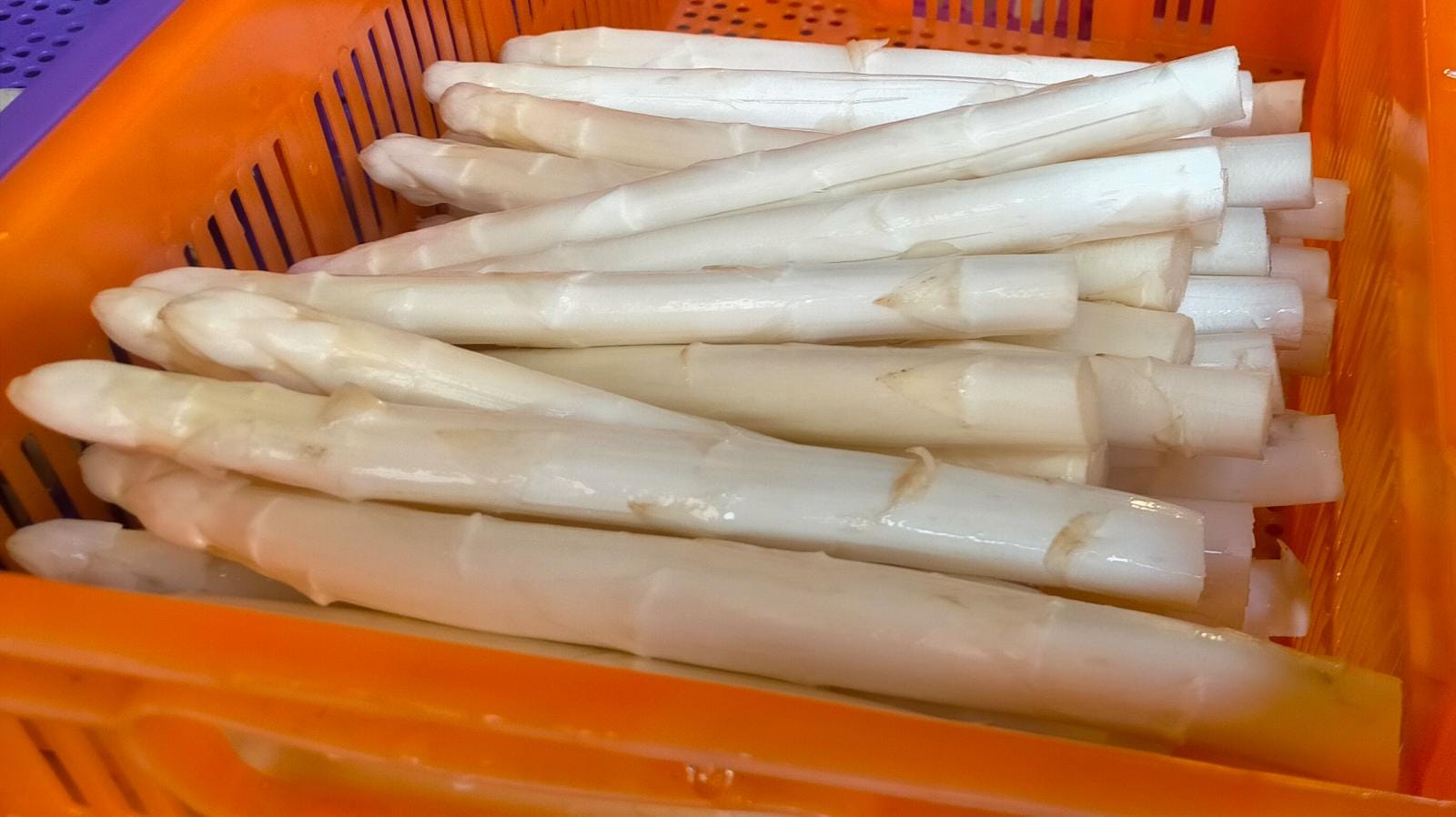 Les asperges du Chablais ont pointé le bout de leur tête à Muraz